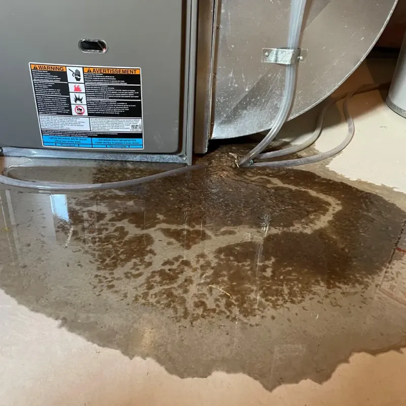 Appliance Leak Cleanup in Dardanelle, AR